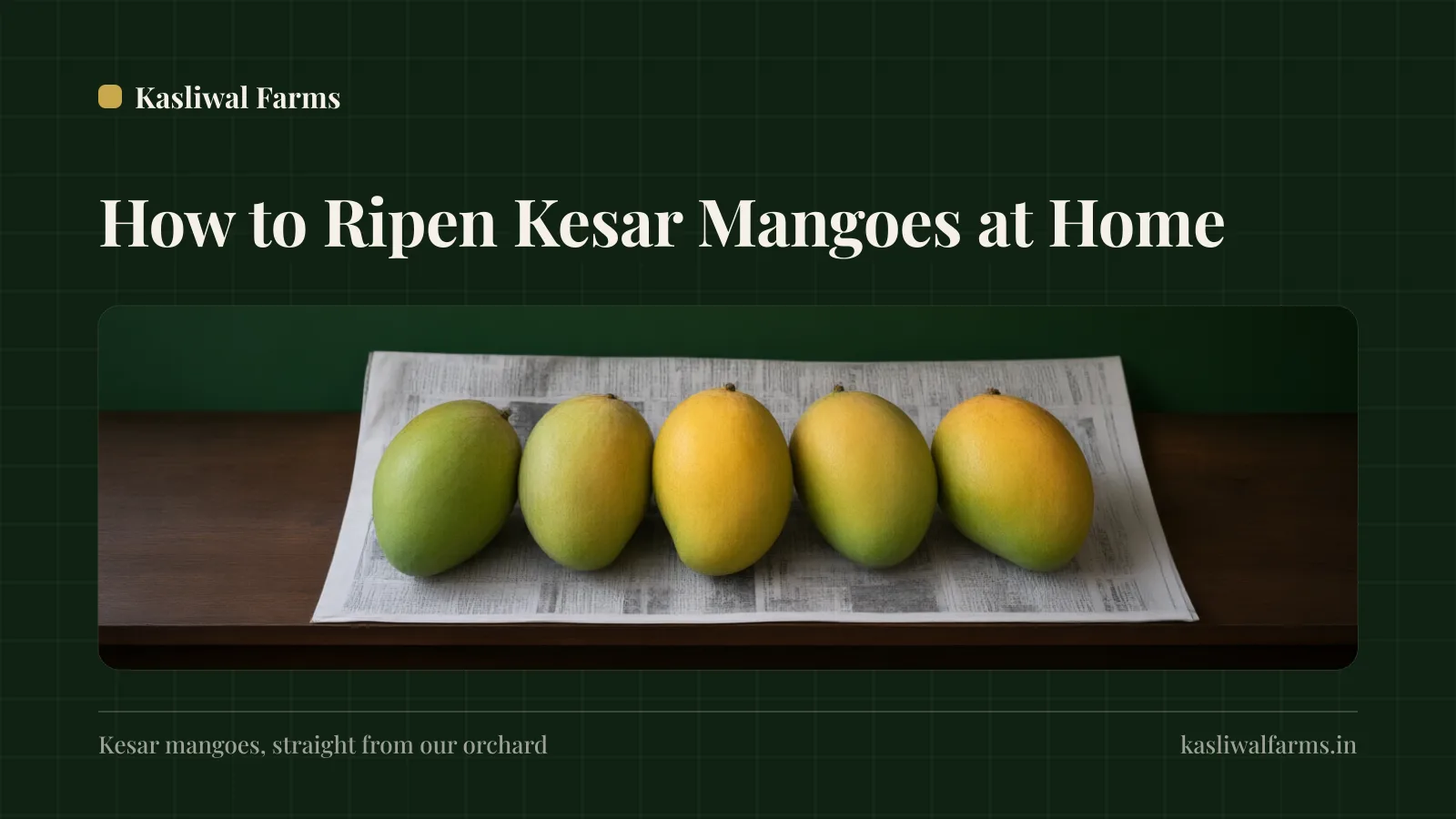 How to Ripen Kesar Mangoes at Home — A Day-by-Day Guide