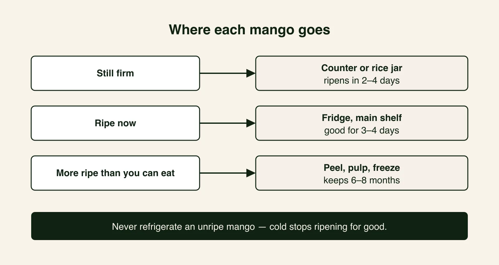 Decision diagram showing where each mango should go — still-firm fruit to the counter or rice jar, ripe fruit to the fridge for 3 to 4 days, and surplus ripe fruit peeled and frozen as pulp for 6 to 8 months — with a warning never to refrigerate unripe mangoes.