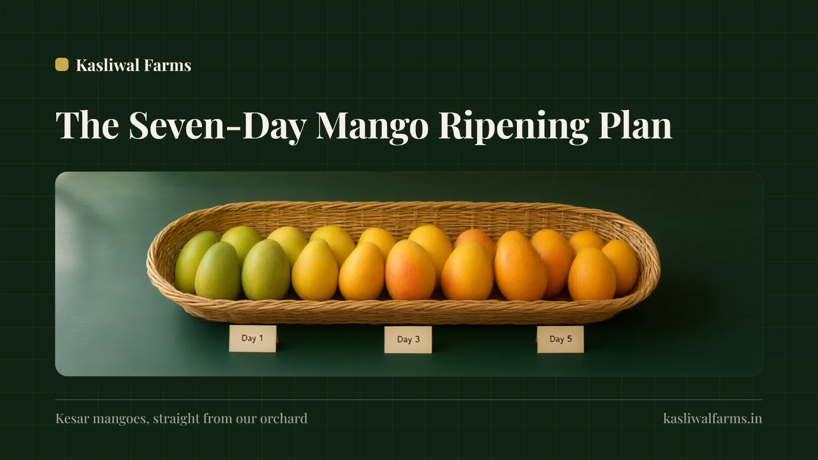 What to Do with 5 kg of Kesar Mangoes: Aamras, Pulp and a Week of Plans