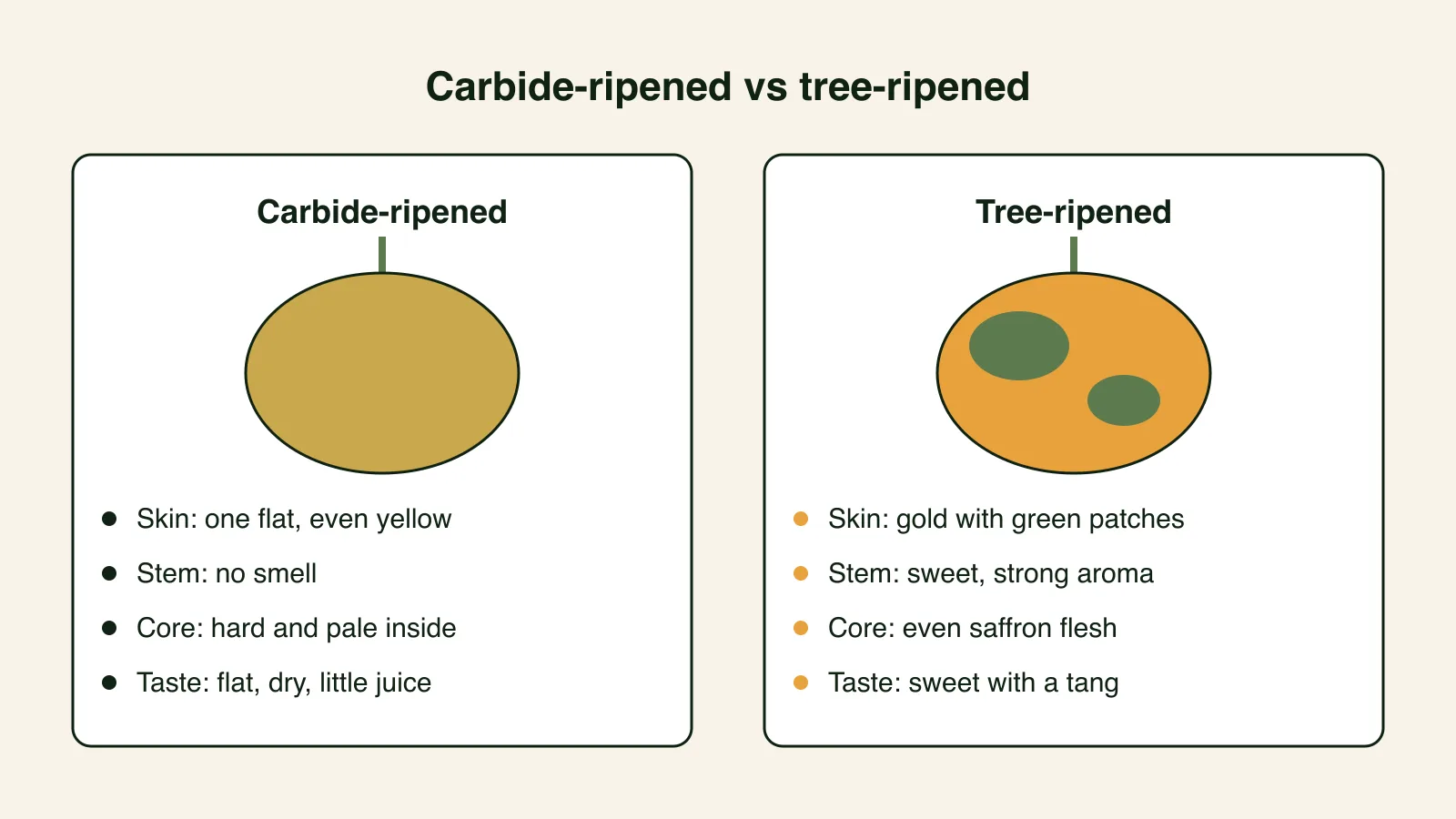 Side-by-side annotated illustration of a carbide-ripened mango with flat uniform yellow skin, no stem aroma and a hard pale core, next to a tree-ripened mango with green patches, strong stem aroma and even saffron flesh.
