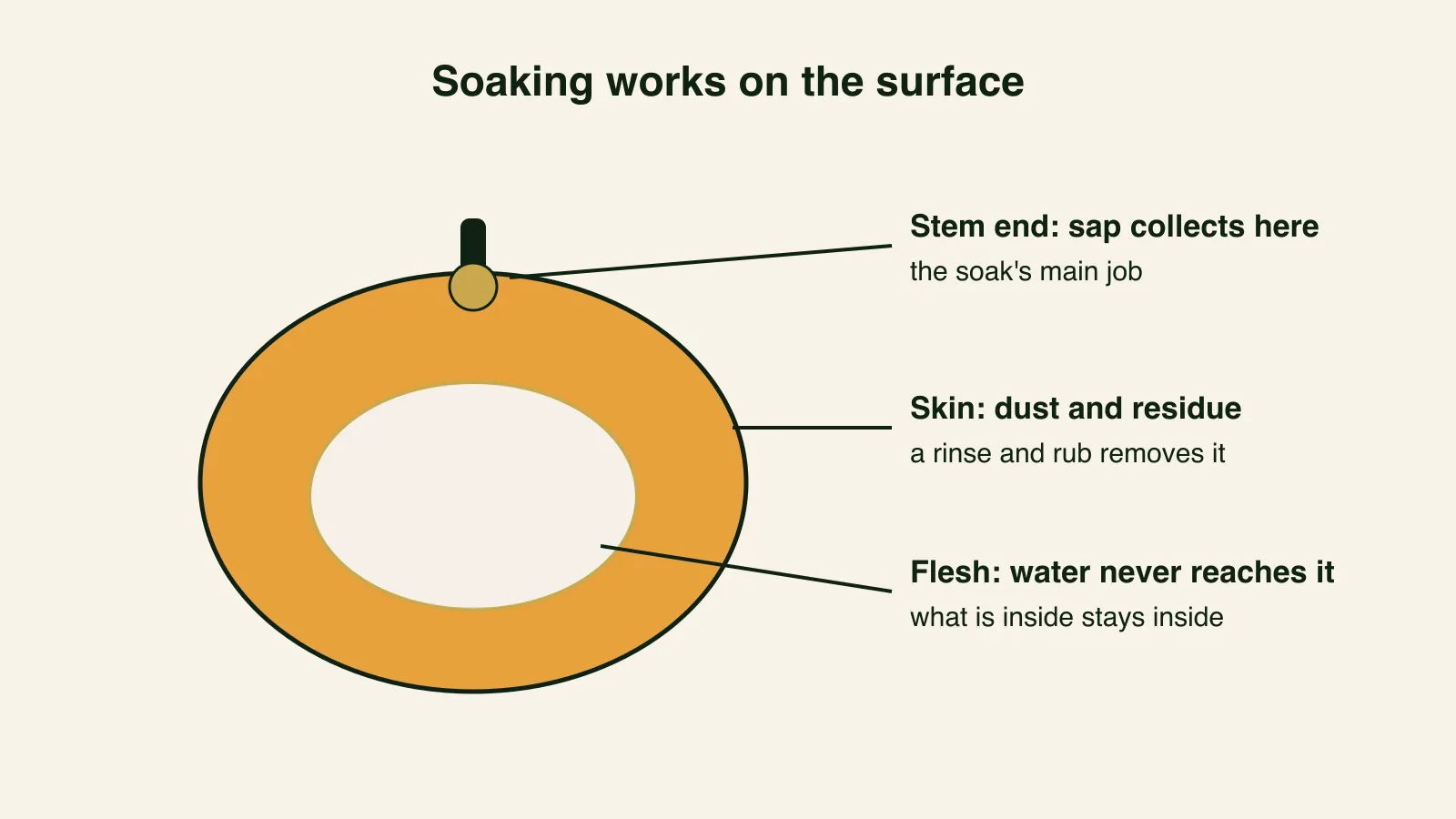 Cross-section diagram of a mango showing that sap collects at the stem end, dust sits on the skin, and the flesh inside is untouched by soaking.